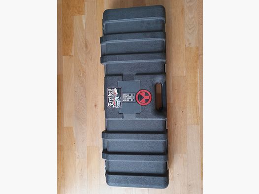 RAM  T4e AR 15 