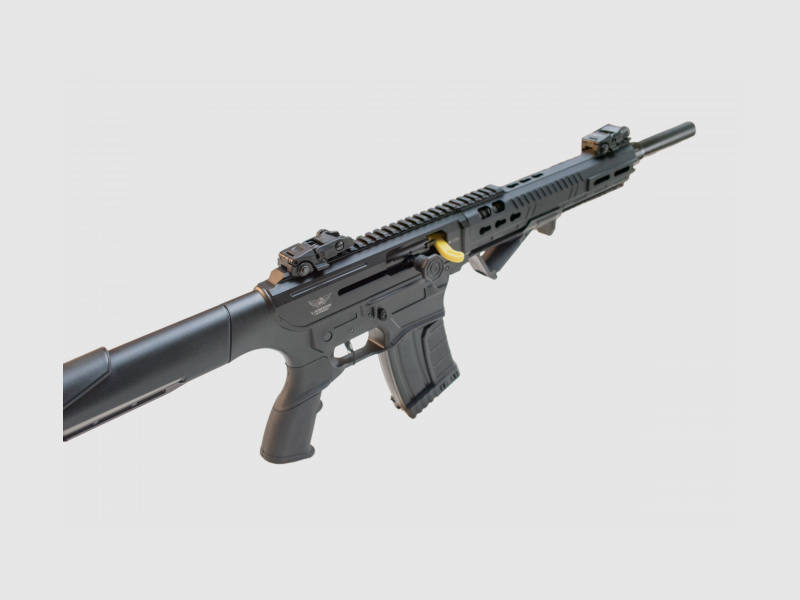 LND-117 Kaliber 12, Bild 1 von 6