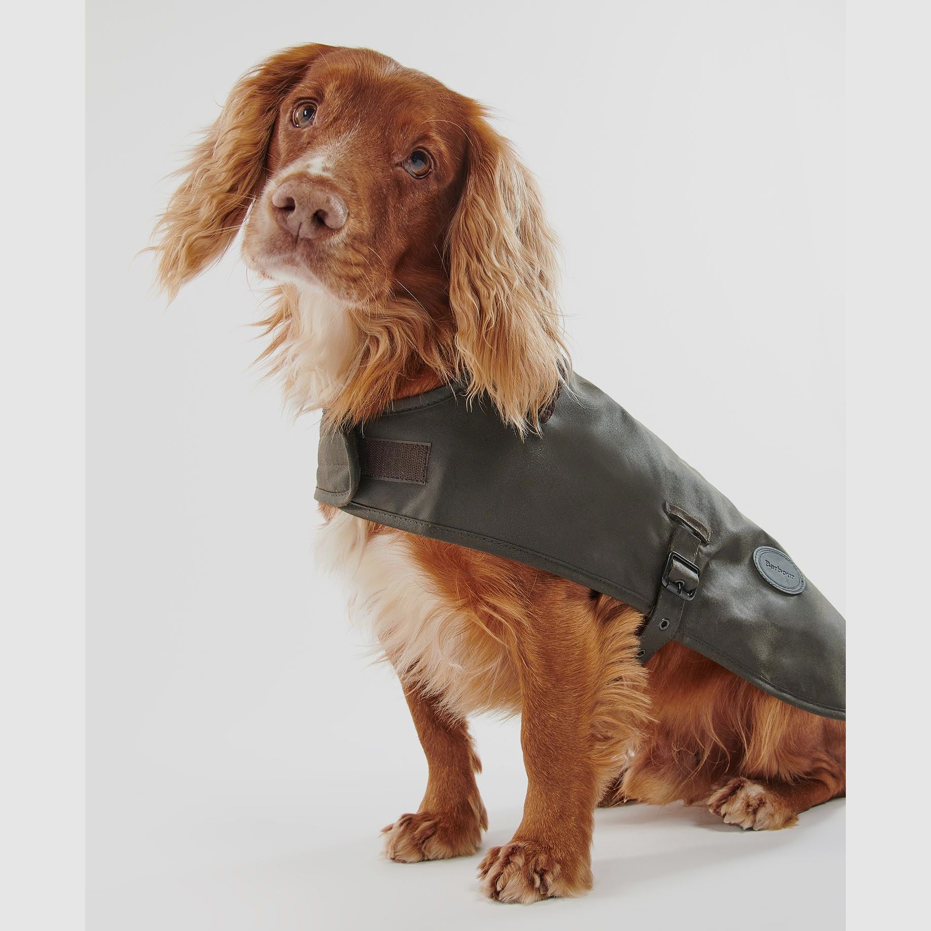 Barbour dog coat made of wax