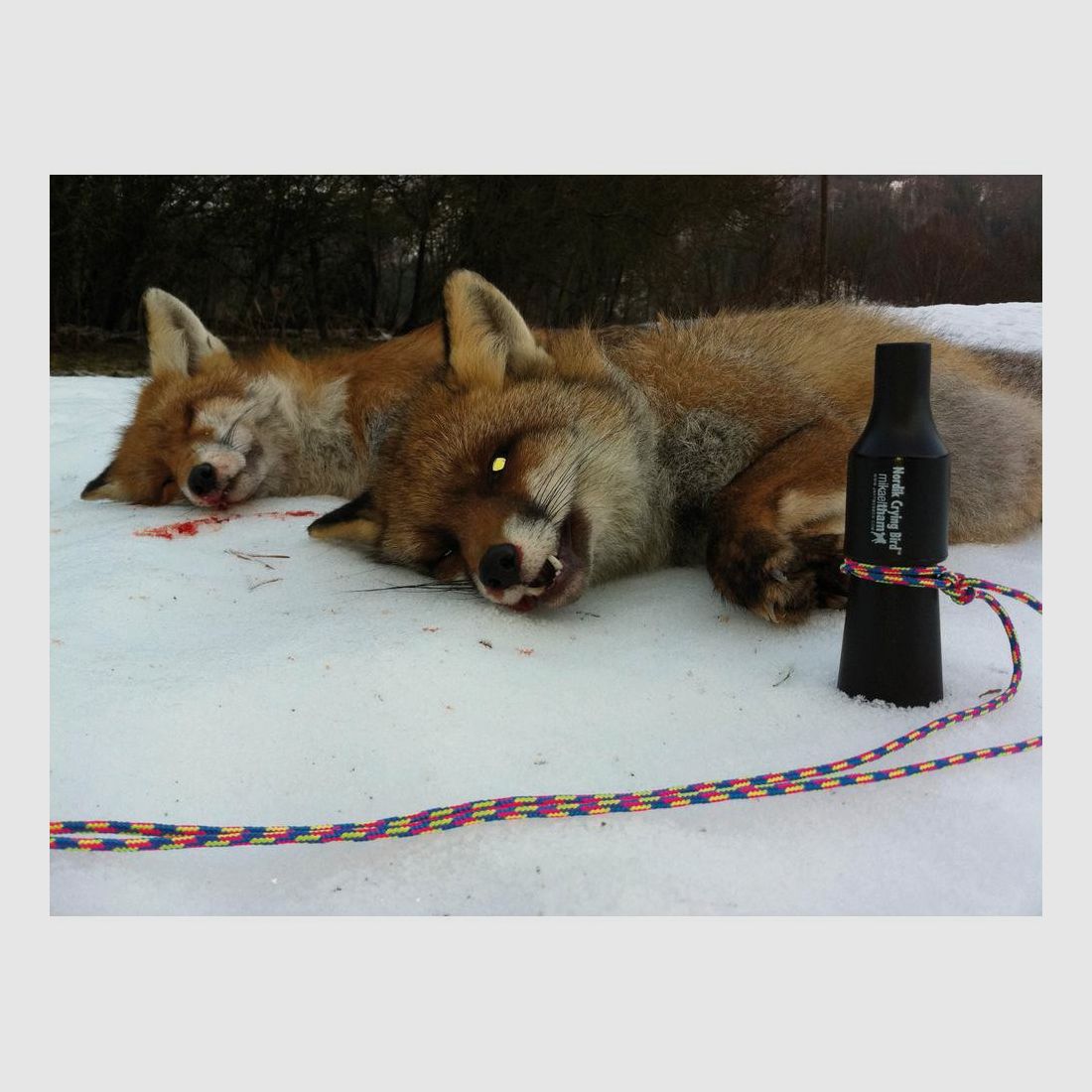 Fuchslockmittel Nordik Predator - Realistischer Klang - Einfach zu Benutzen - Fuchs Effektiv Anlocken, Bild 2 von 5