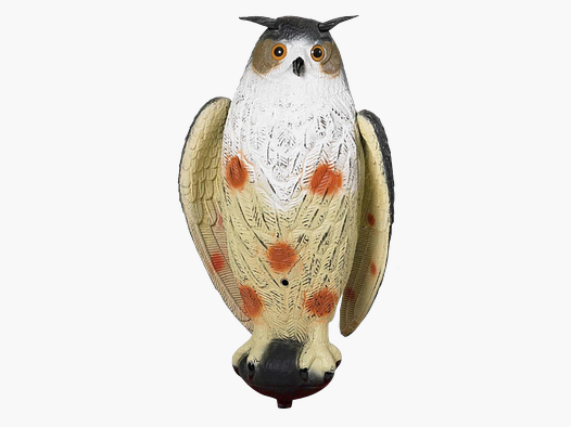 Fritzmann Lokvogel Oehoe