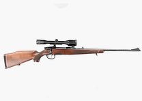 Steyr Mannlicher Model M