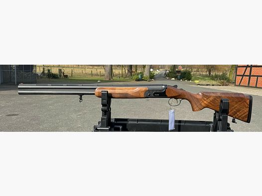 Akkar Churchill 206E Dama Negra