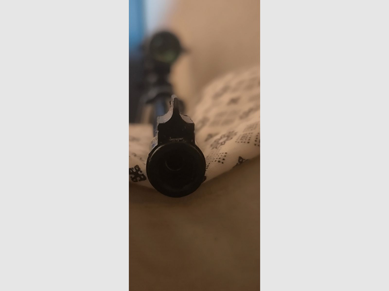 CO2 luchtgeweer in kaliber 4,5mm diabolo's van Ruger - model 10/22 & ZF Optima 3-9-32