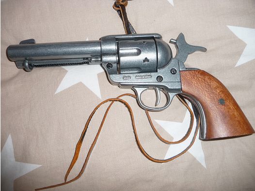 Schöner Westernkolt mit Halfter