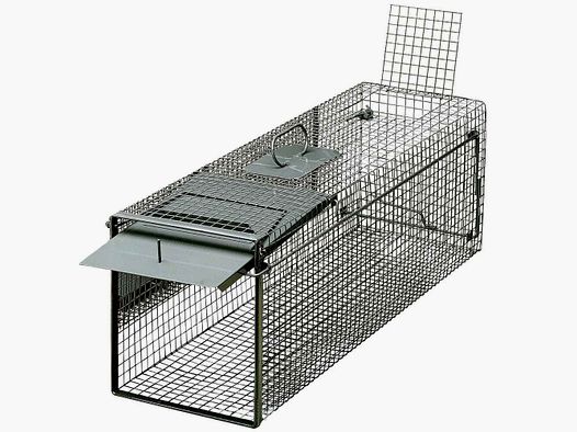 Trappola per cattura viva - a una porta