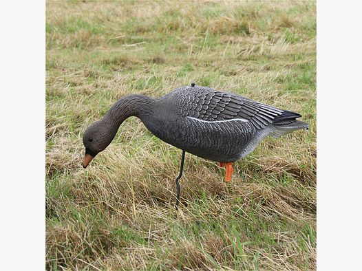 Decoy seed geese