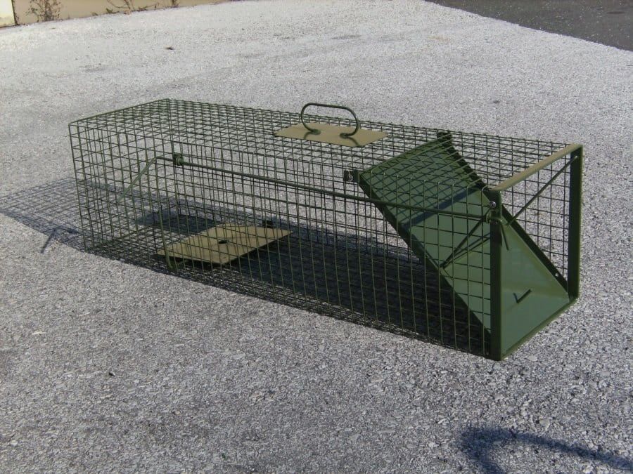 Trampa de alambre DAUTH con puerta abatible