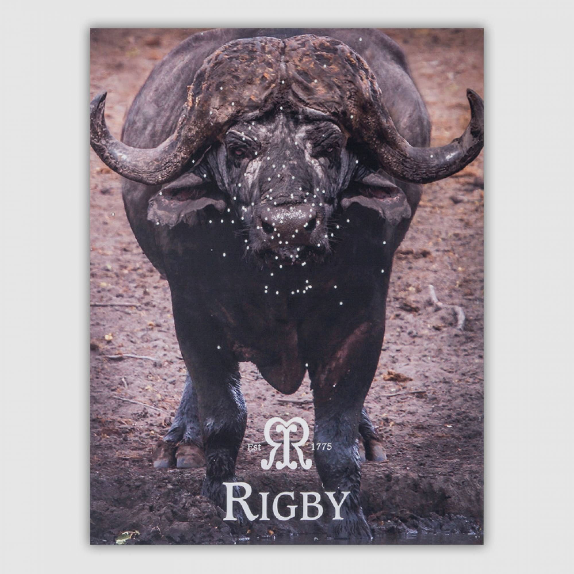 Rigby Büffel Zielscheibe