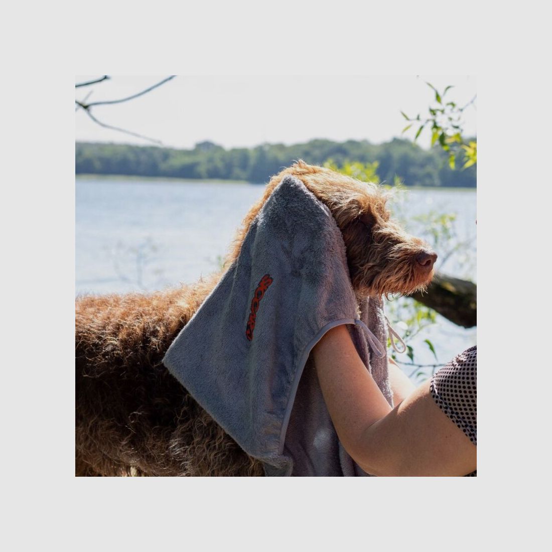 Siccaro Trockentuch EasyDry Dog Towel