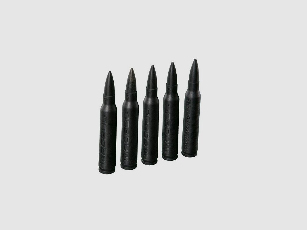 Dummy Rounds .223