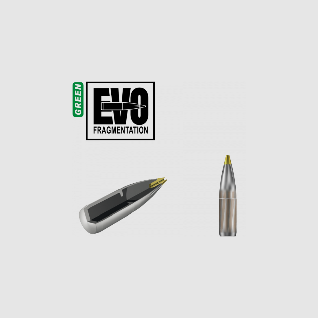 RWS EVO Green Munition Kal. 30-06 SPRG 139gr, Bild 2 von 3
