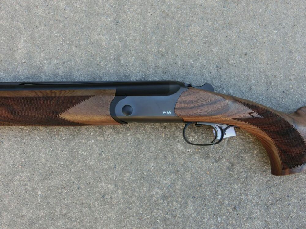 Blaser F16 Game