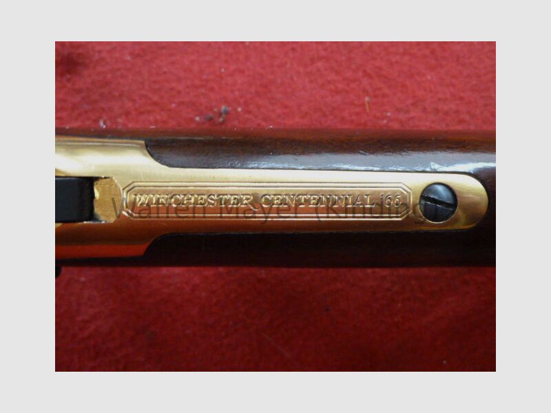 Winchester Siècle de Leadership