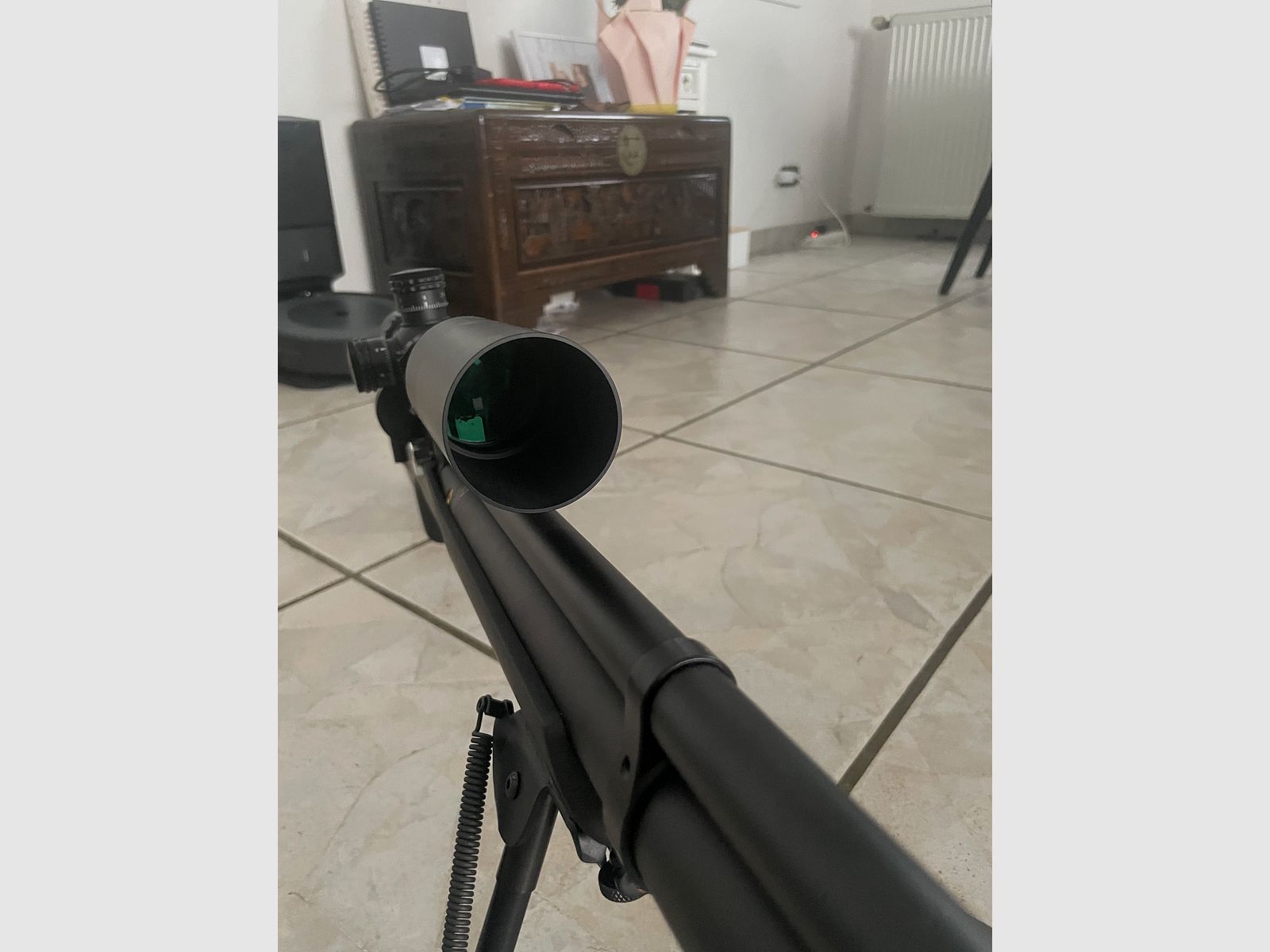 Vendo mi rifle FX Dreamline