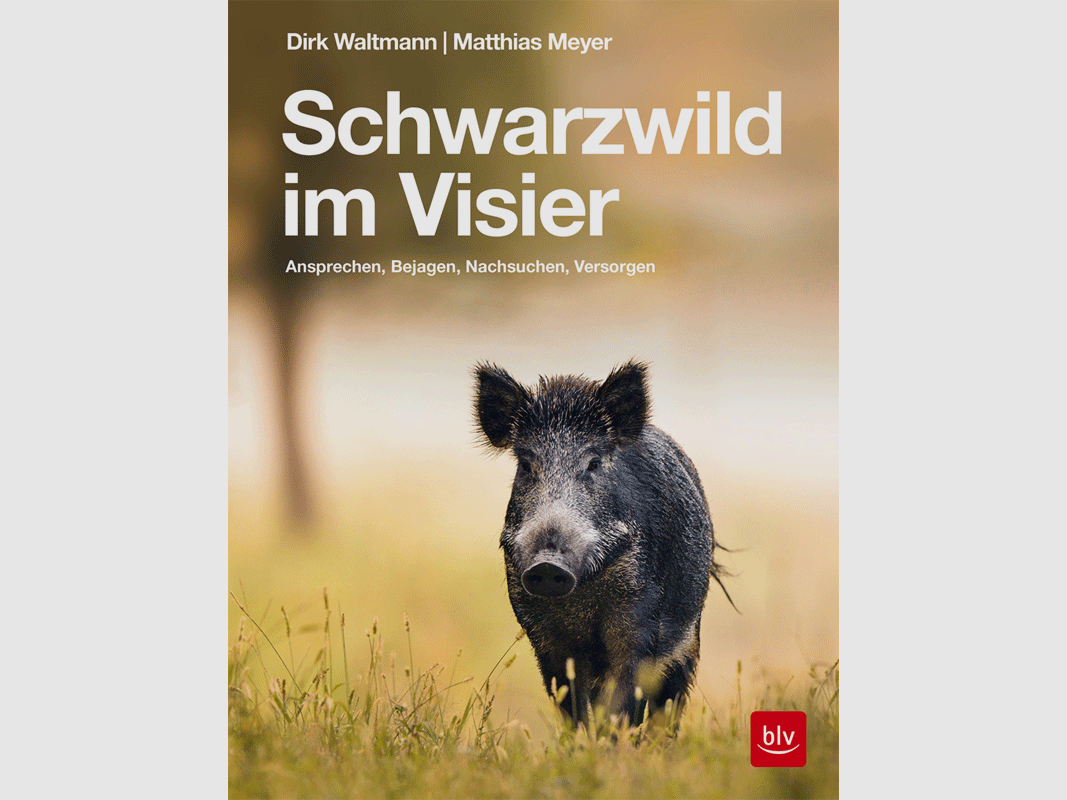 Boek "Wild zwijn in het zicht"