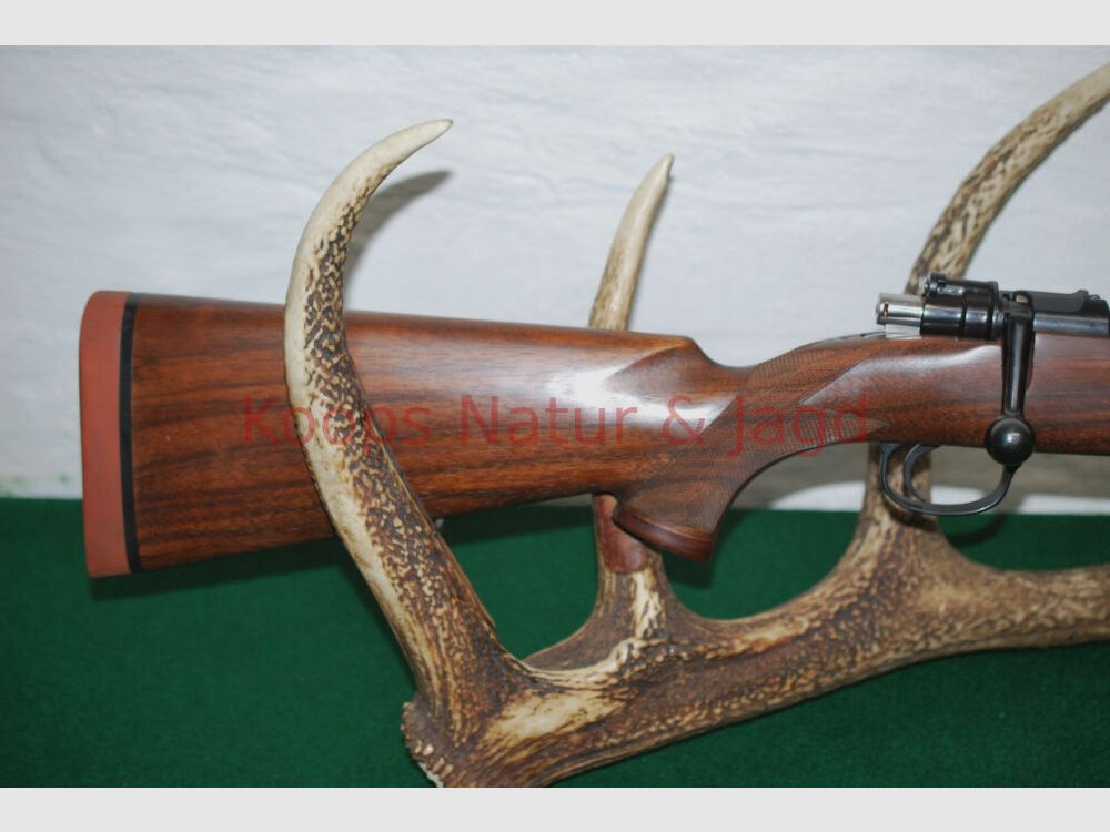 Klaus Koops 98 DWM-systeem