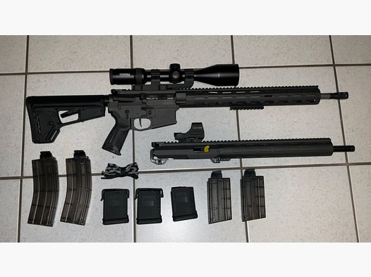 DAR AR15 semi-automatique exclusif en .223 et système interchangeable .22