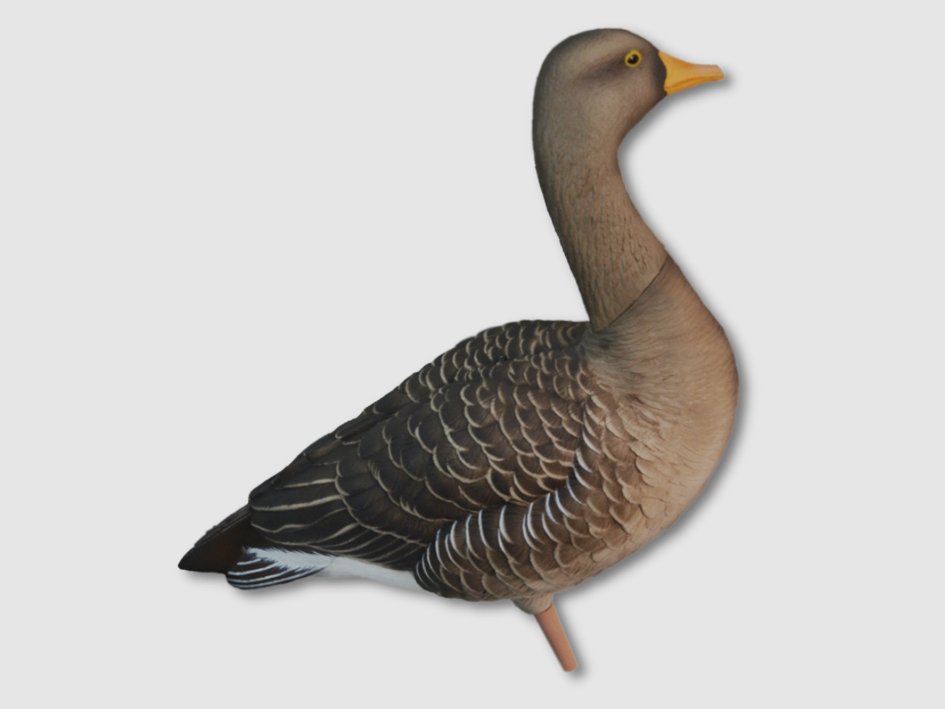 Avian-x richiami per oca selvatica (6 pz.) AXP painted incl. borsa da trasporto, immagine 1 di 4