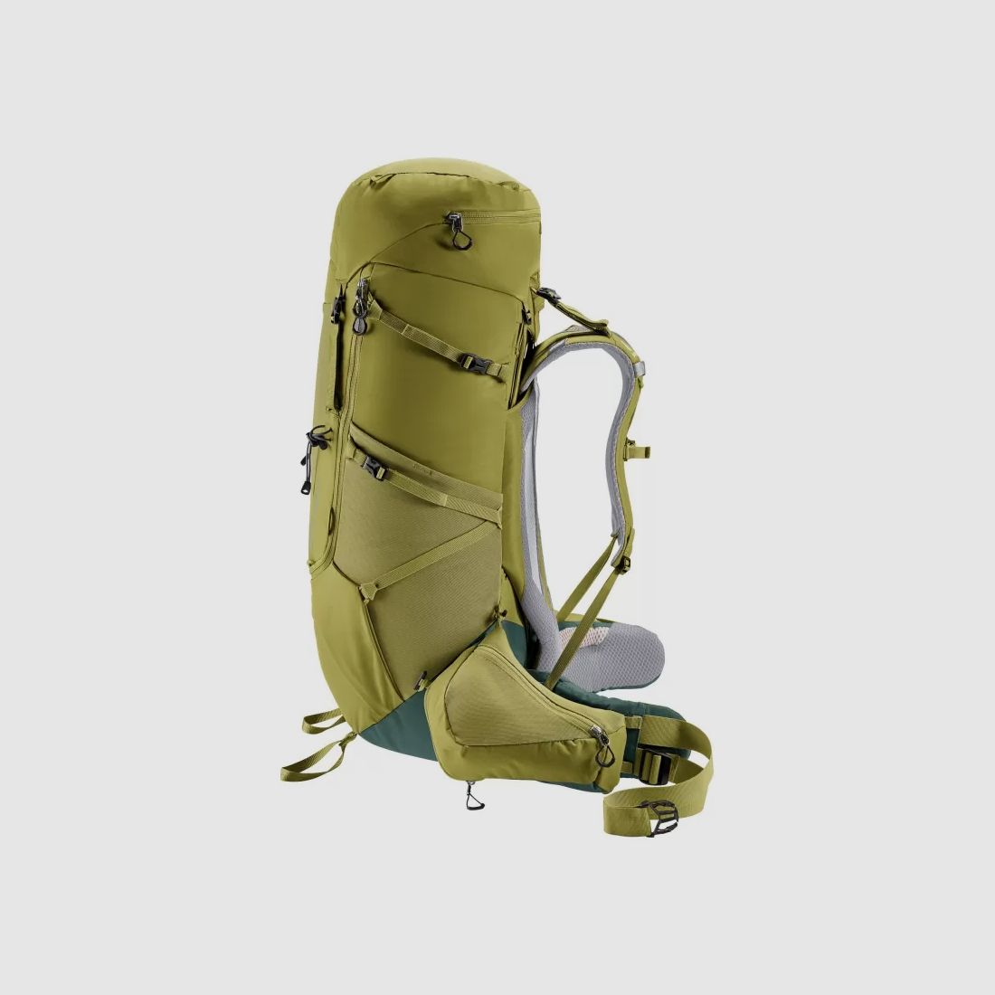 Deuter Aircontact Core 60+10 Grün, Braun, Bild 7 von 11