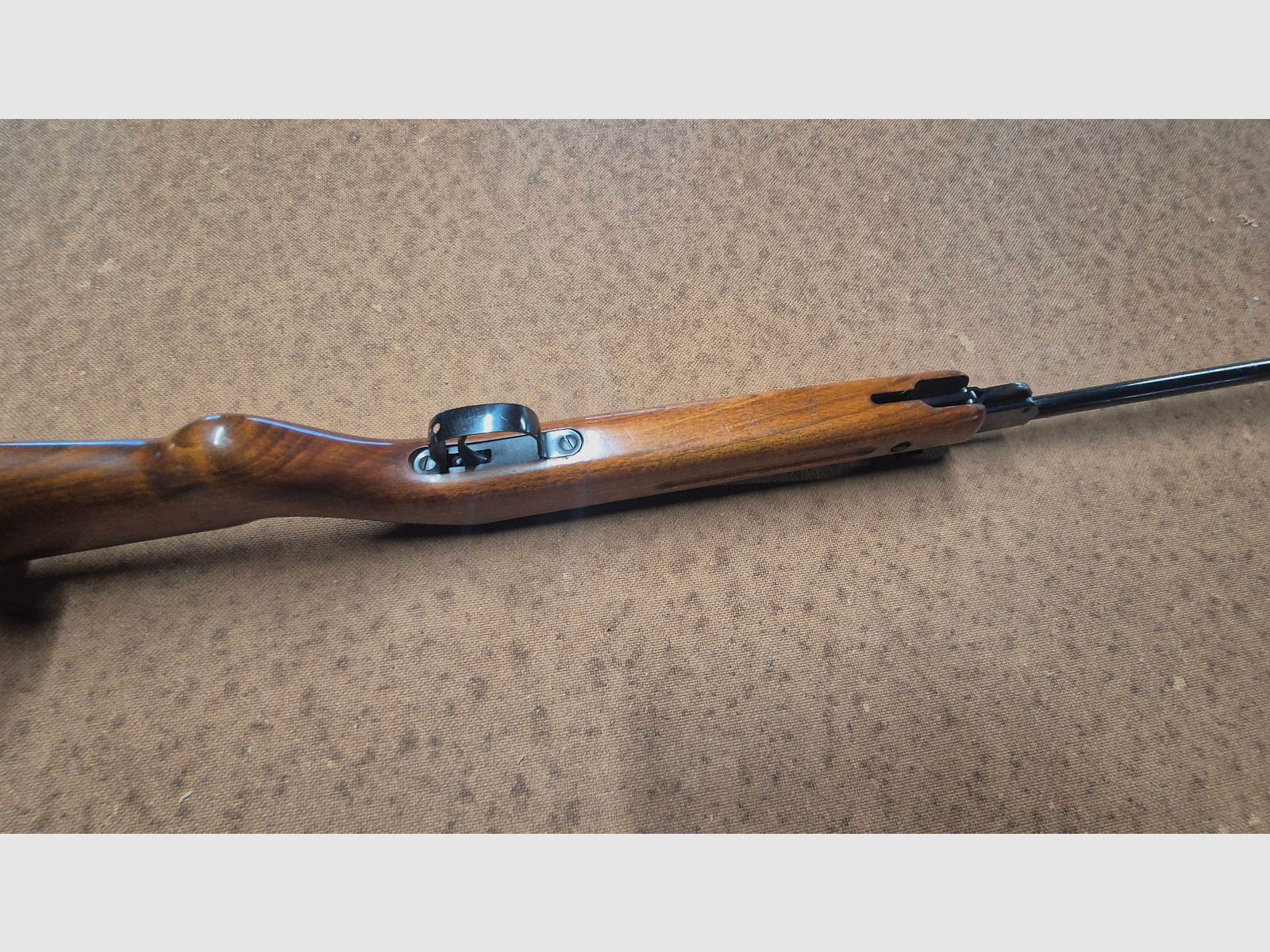 Walther  51