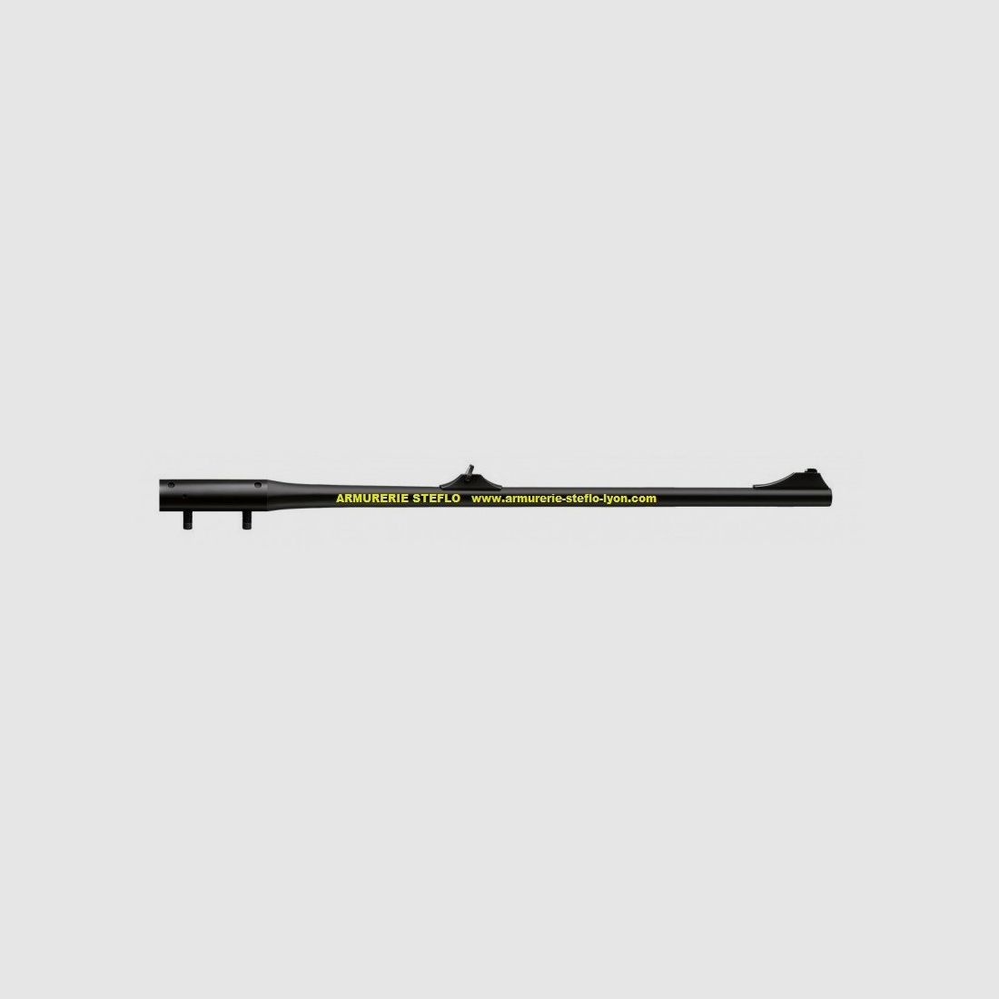 Canon Blaser R8 magnum - 65cm - avec organes de visée