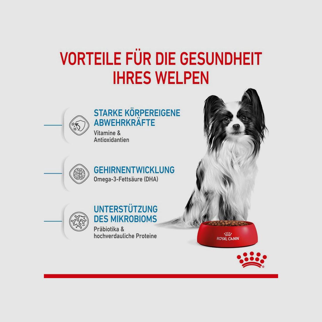 ROYAL CANIN Sehr Kleine Hunde Trockenfutter X-Small Welpen