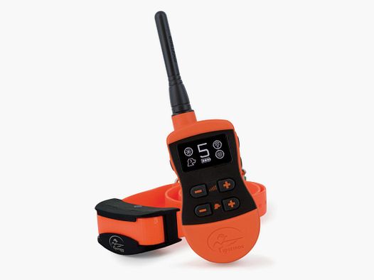 Collare SPORTDOG SPORTTRAINER 800 METRI SD-875E