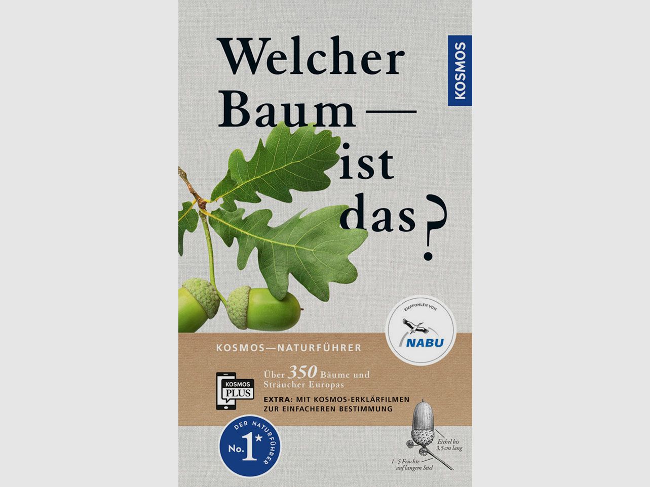 Kosmos Welcher Baum ist das? Spohn