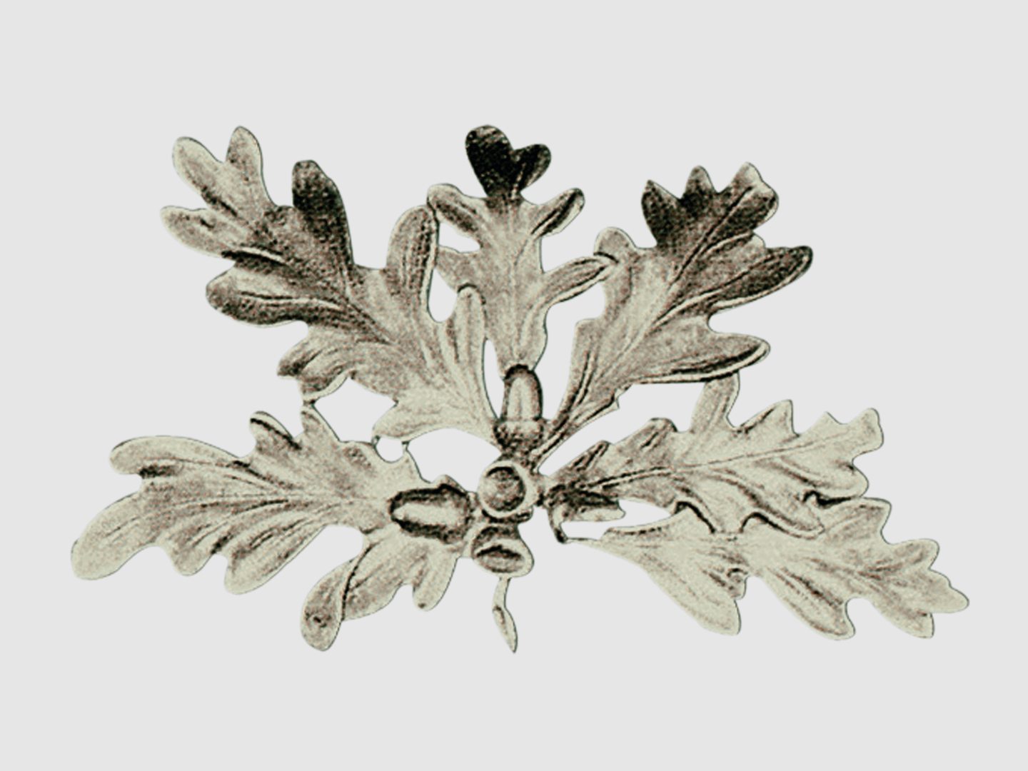 Okładka broni dzika