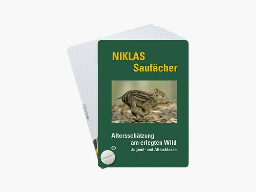 NIKLAS Compartiment d'Estimation d'Âge Sanglier