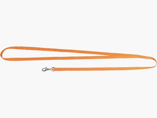 Dog leash orange