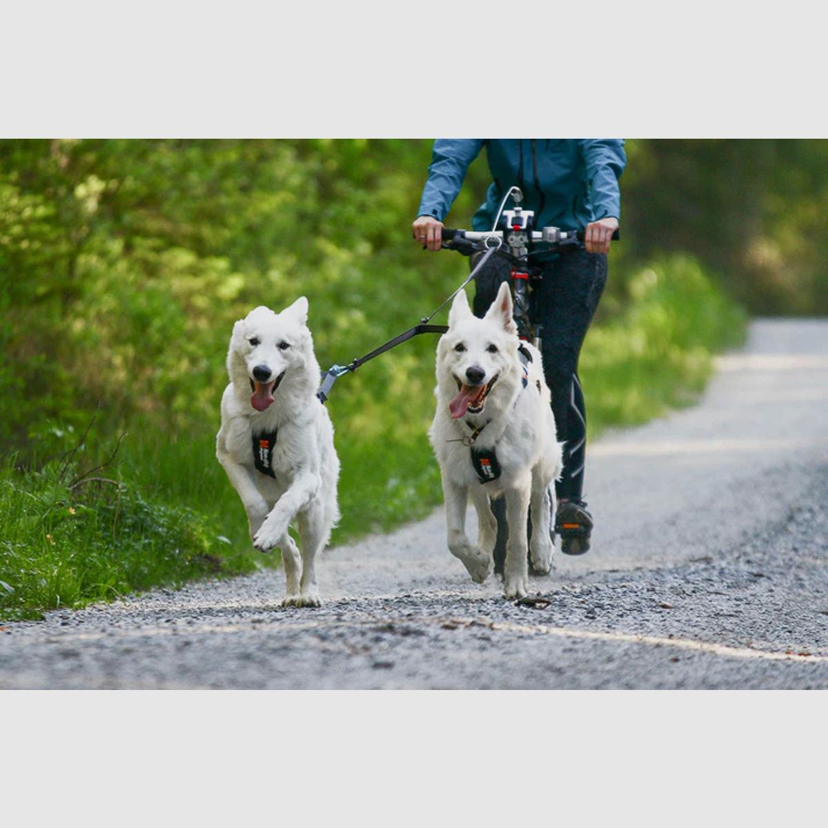 Non-Stop Dogwear Touring Double, billede 4 af 5