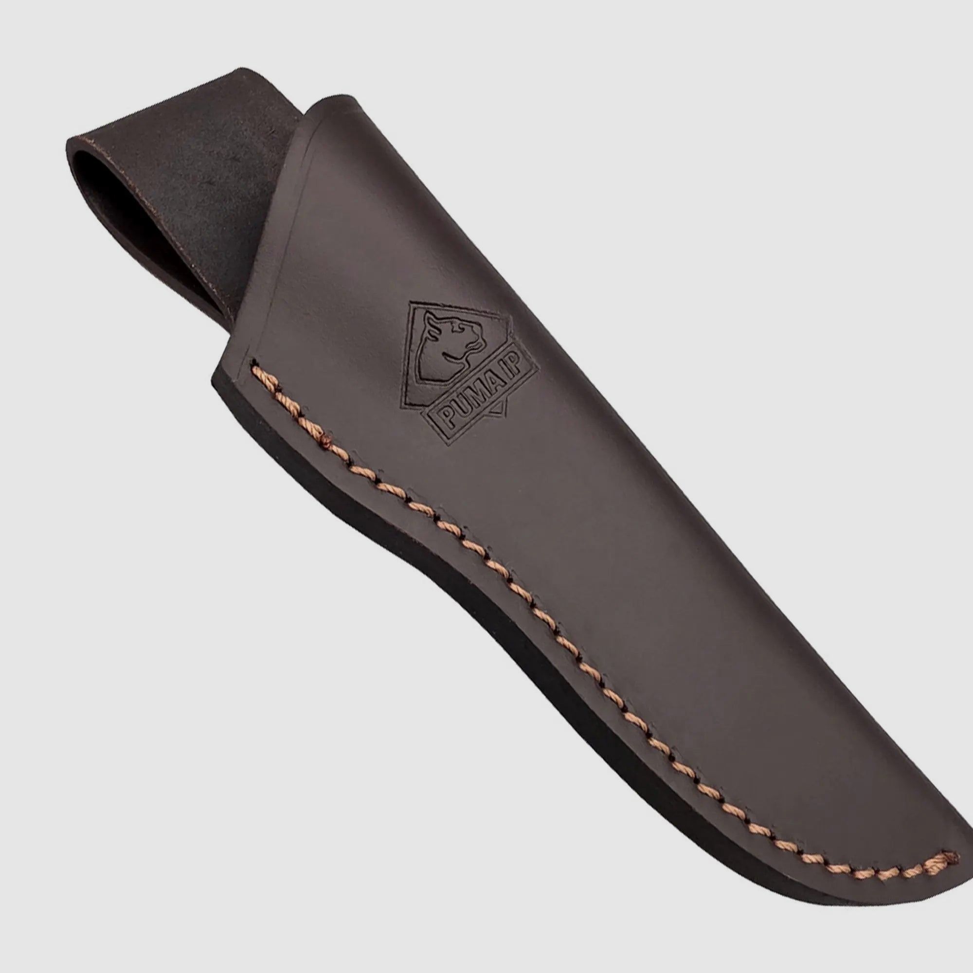 PUMA IP accipiter gentilis