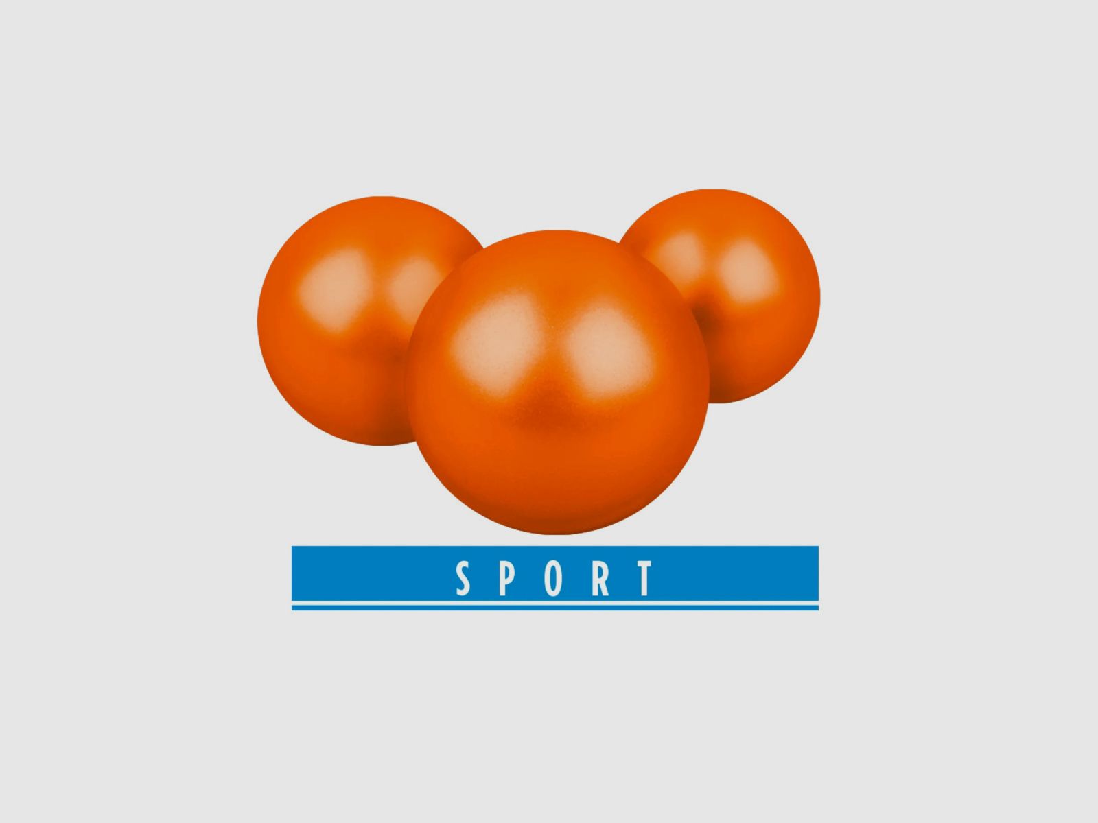 T4E Farbkugeln PAB 43 Sport Kaliber .43 - 500 Stück orange