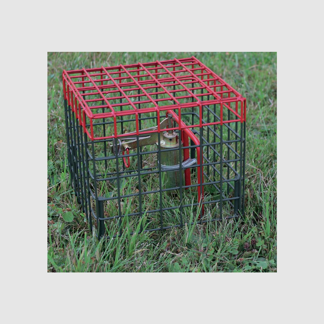 Set completo W2 per trappola per topi con cestello di sicurezza