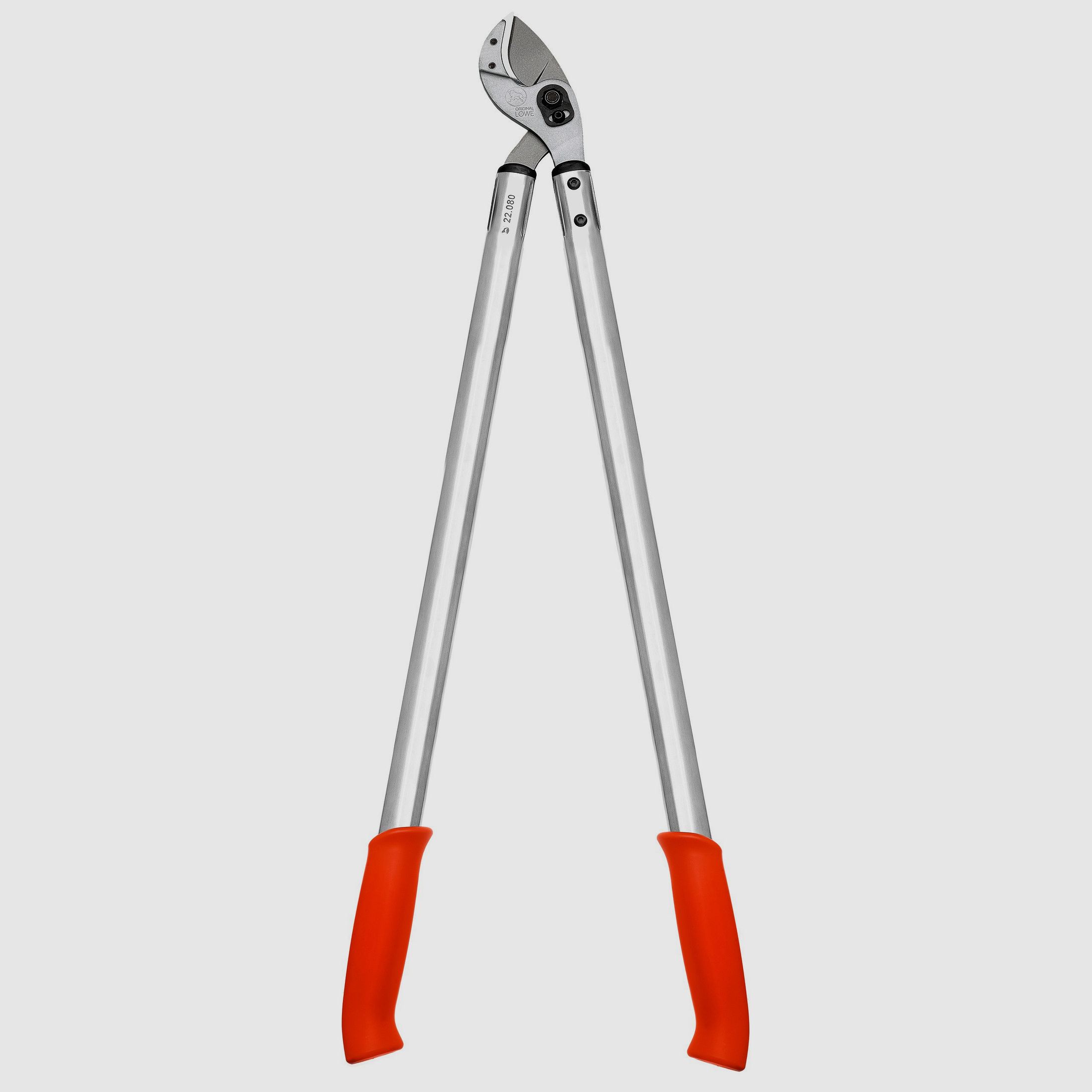 Cesoie per rami Amboss Lwe n. 22