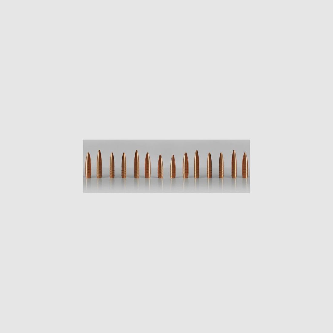 HASLER BALAS MONOLÍTICAS 25 GR 100, imagen 2 de 2