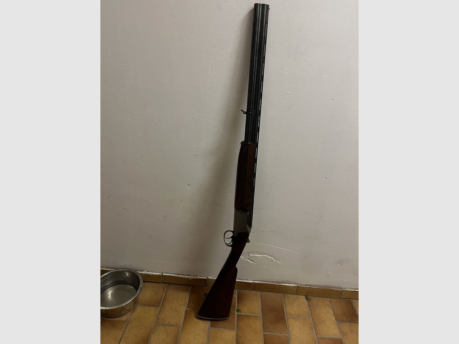 Winchester Grand European