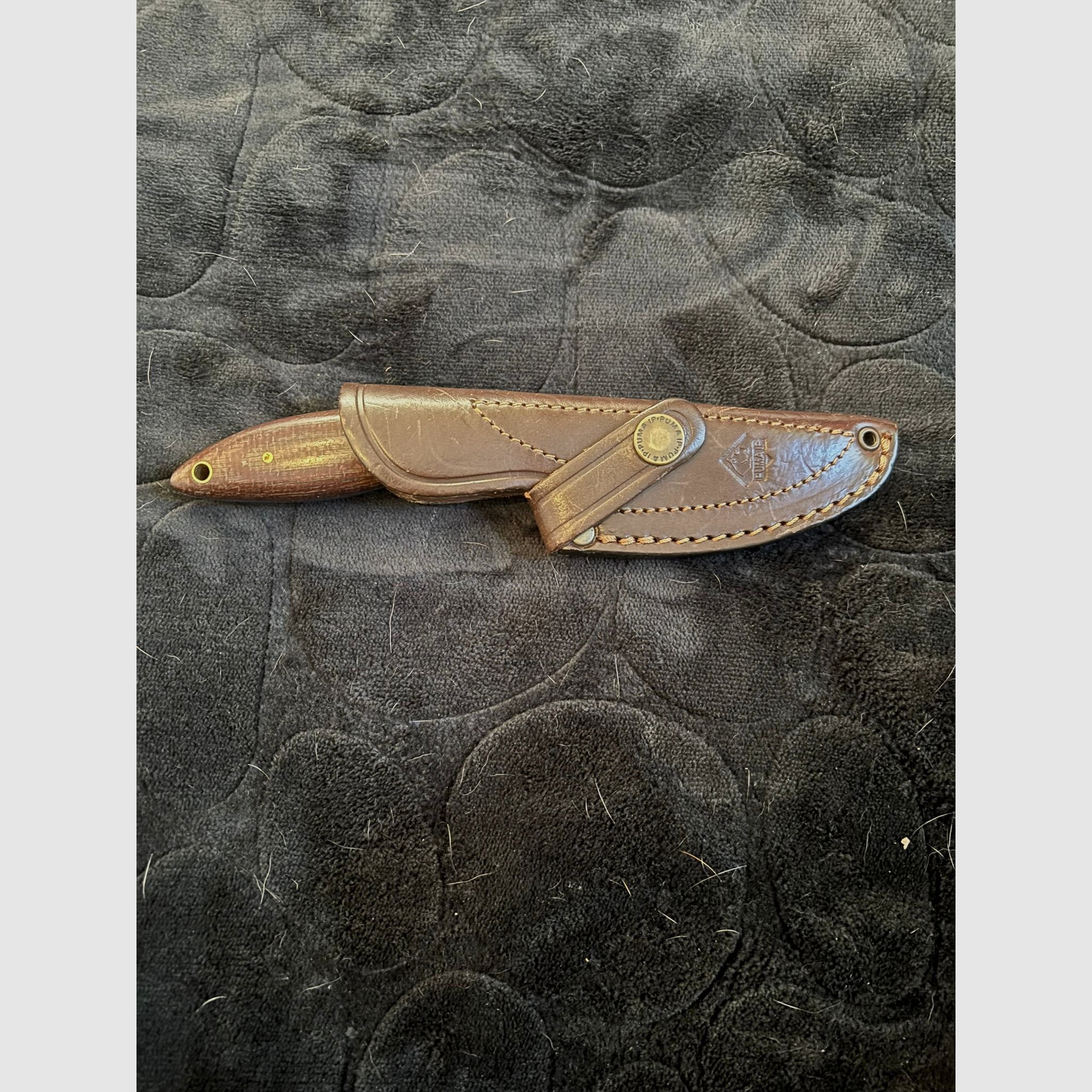 PUMA IP Wolf, Micarta Brown