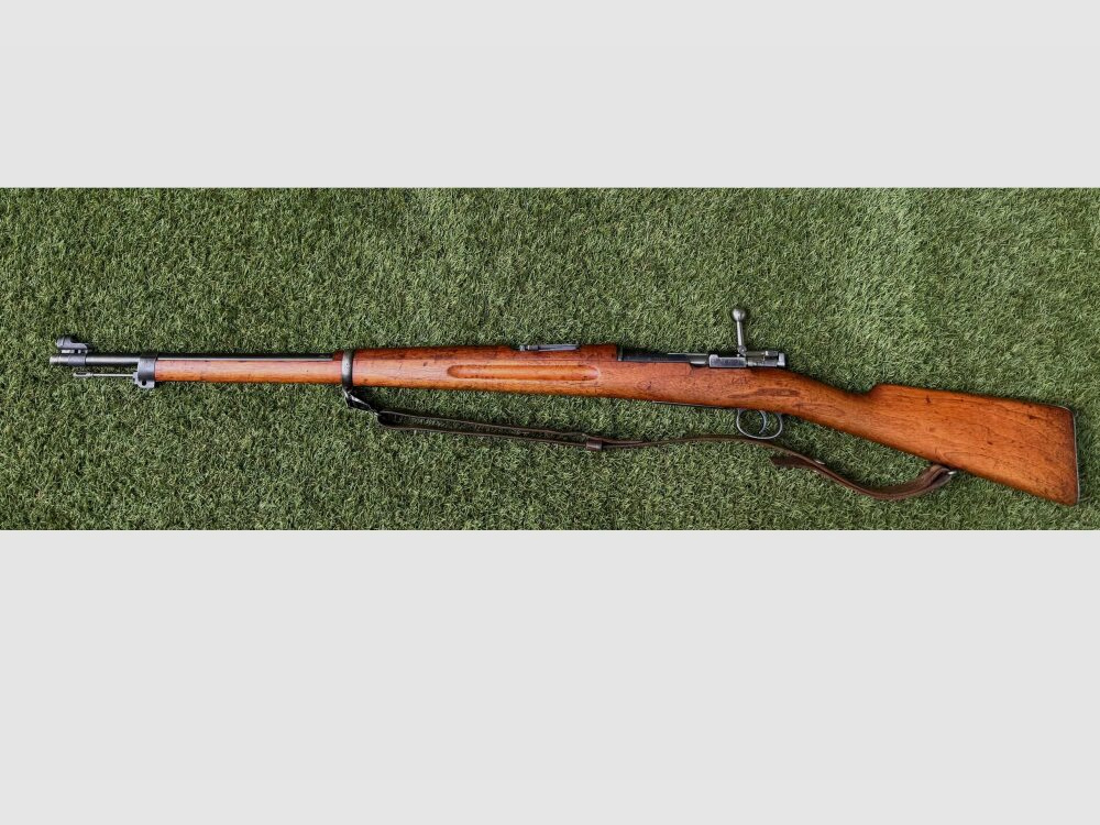 Carl Gustafs M 96 6,5x55SE