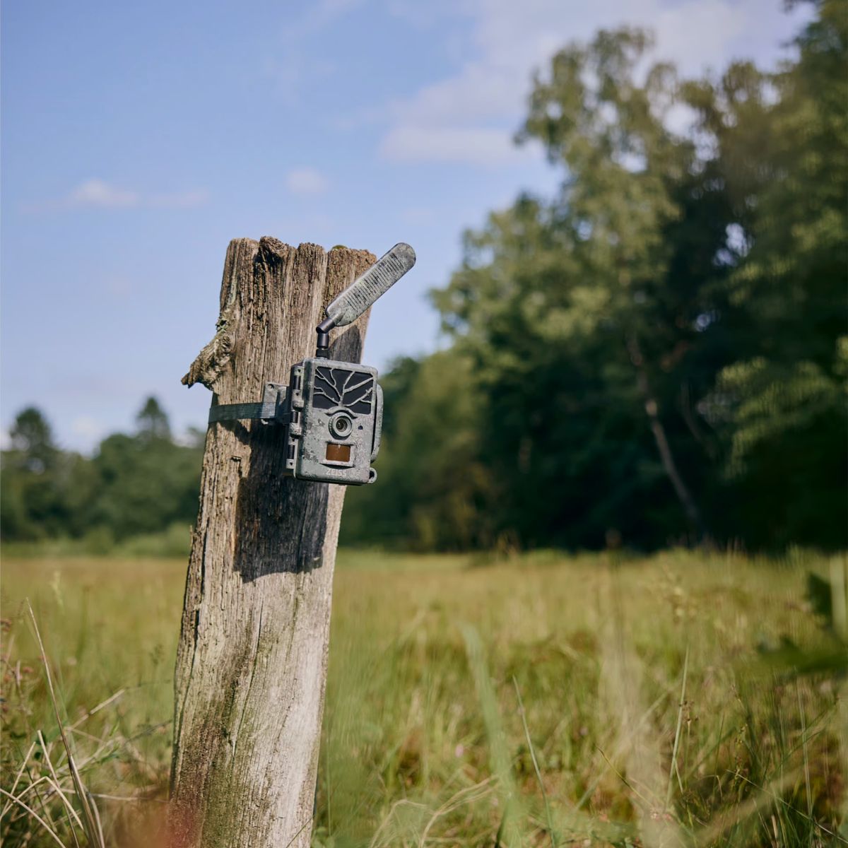 ZEISS Wildkamera Secacam 1 LTE