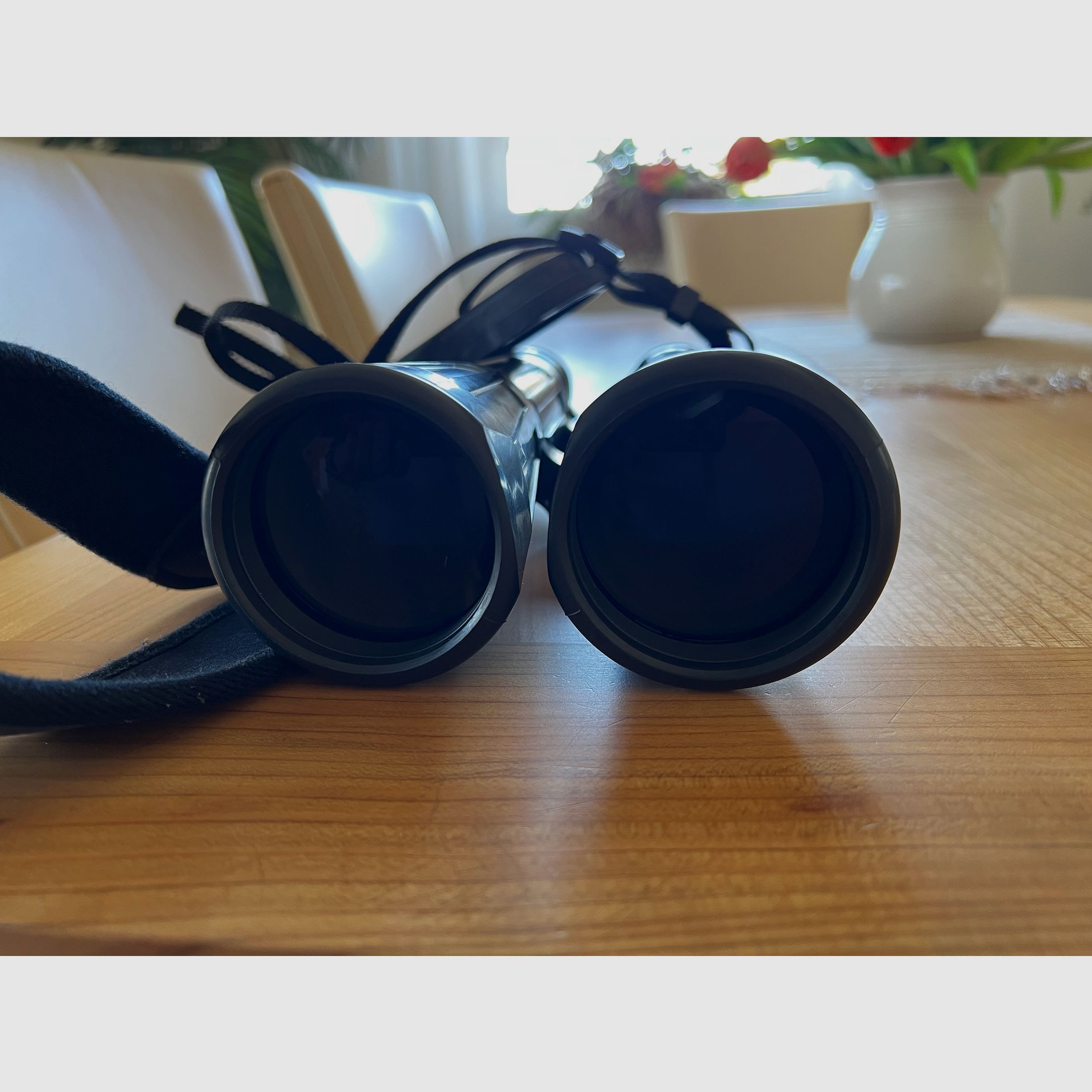 Zeiss Dialyt  8X56  verrekijker