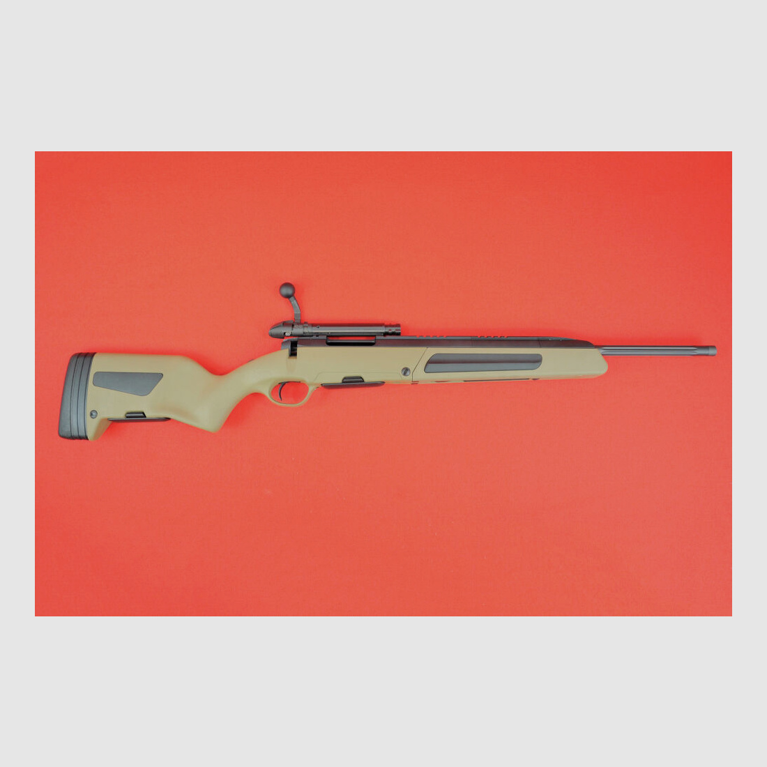 Fucile Steyr Scout MUD