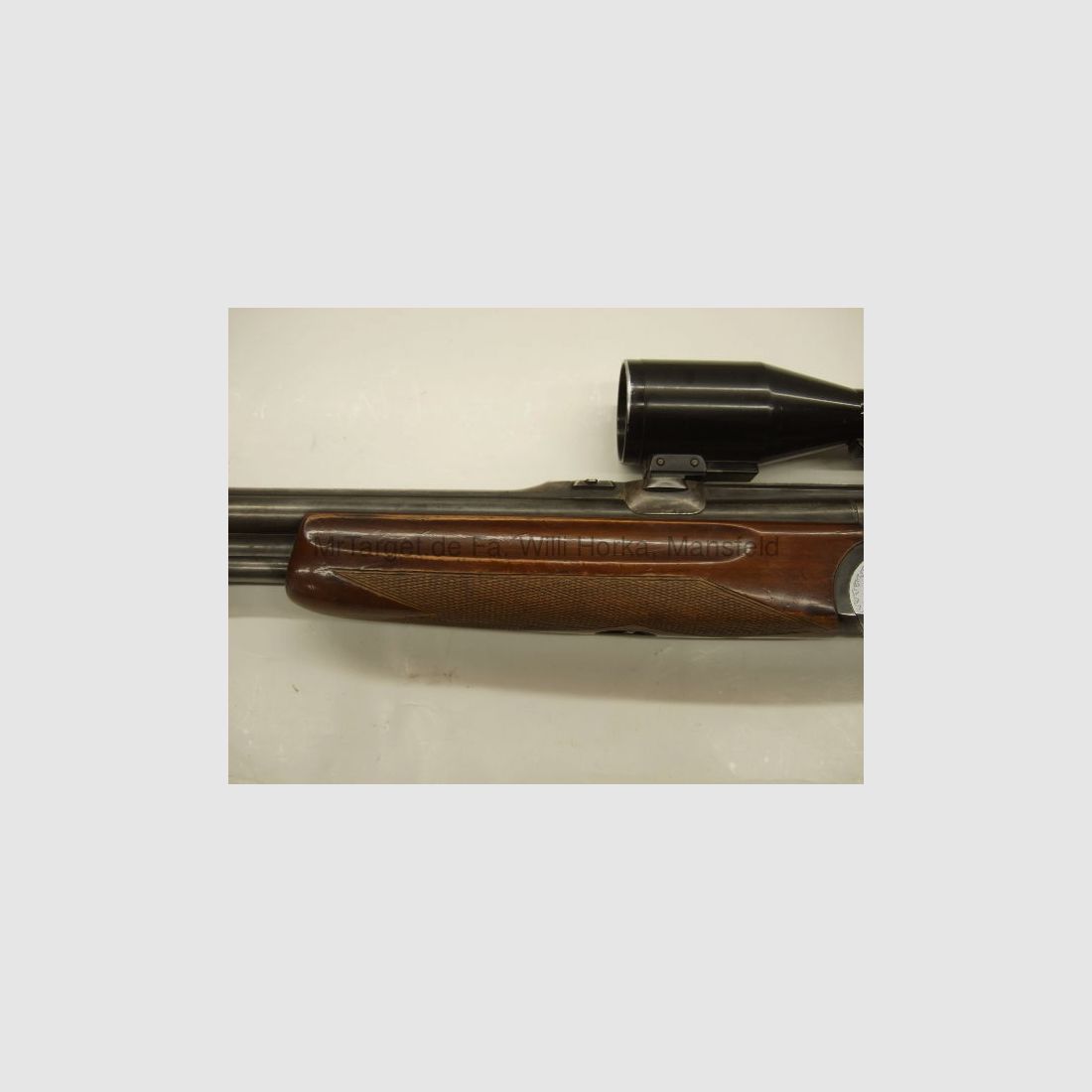 Sabattii mit ZF SWAROVSKI 6x42 Absehen 1