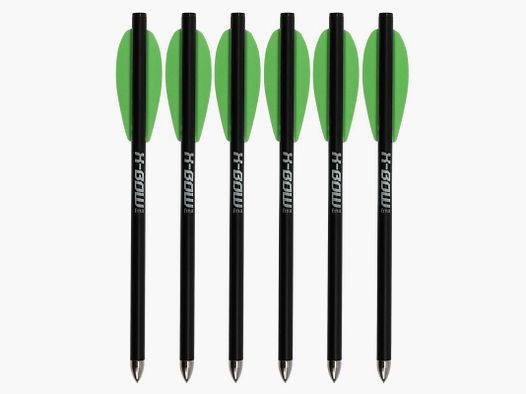 X-BOW FMA FLÈCHES EN CARBONE - 6,5 POUCES - STANDARD - 6 PIÈCES