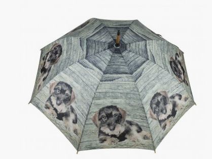 Lovergreen Outdoor Motiv Regenschirm Dackel mit grnem Hintergrund