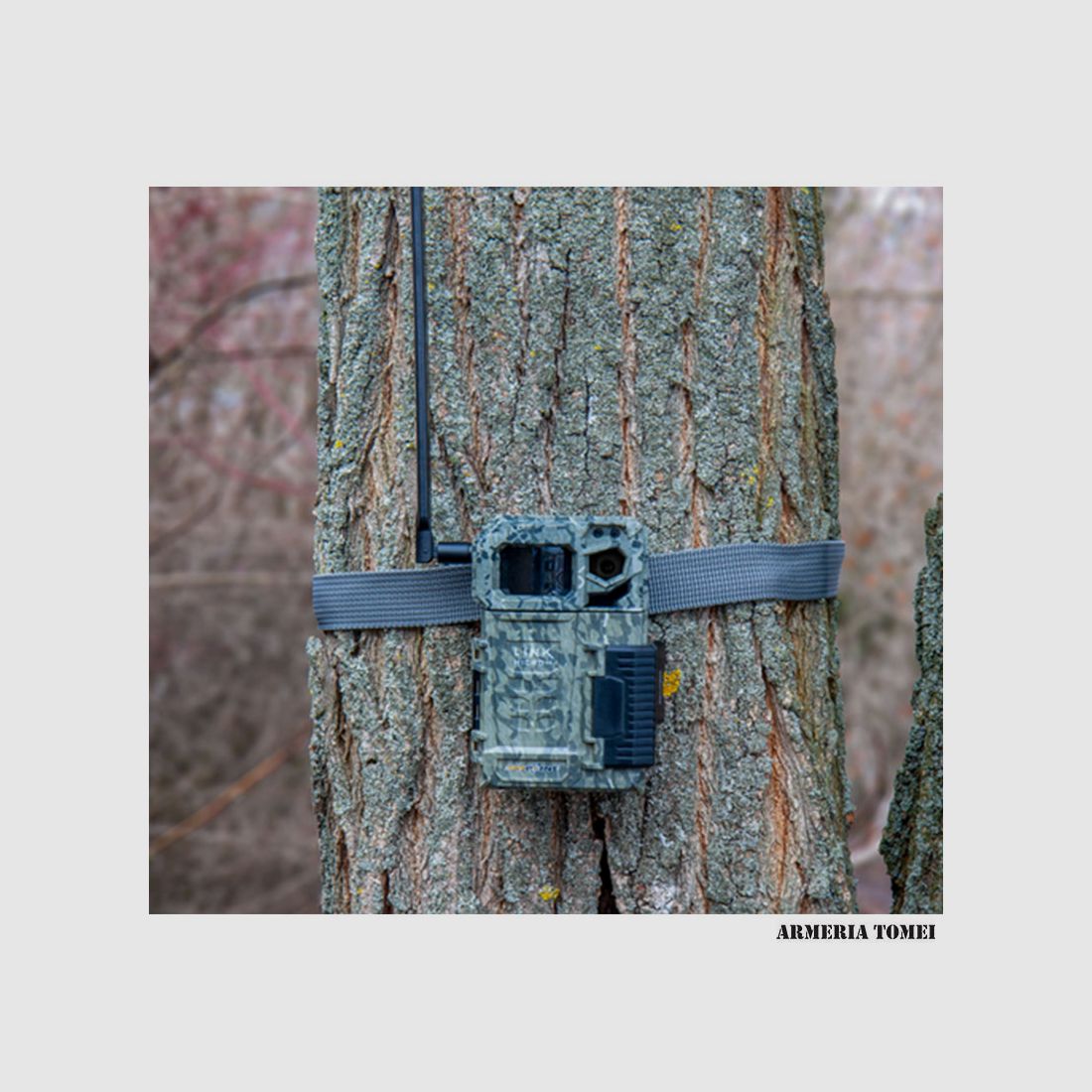 FOTOTRAPPOLA – SPYPOINT – LINK MICRO LTE, immagine 10 di 10