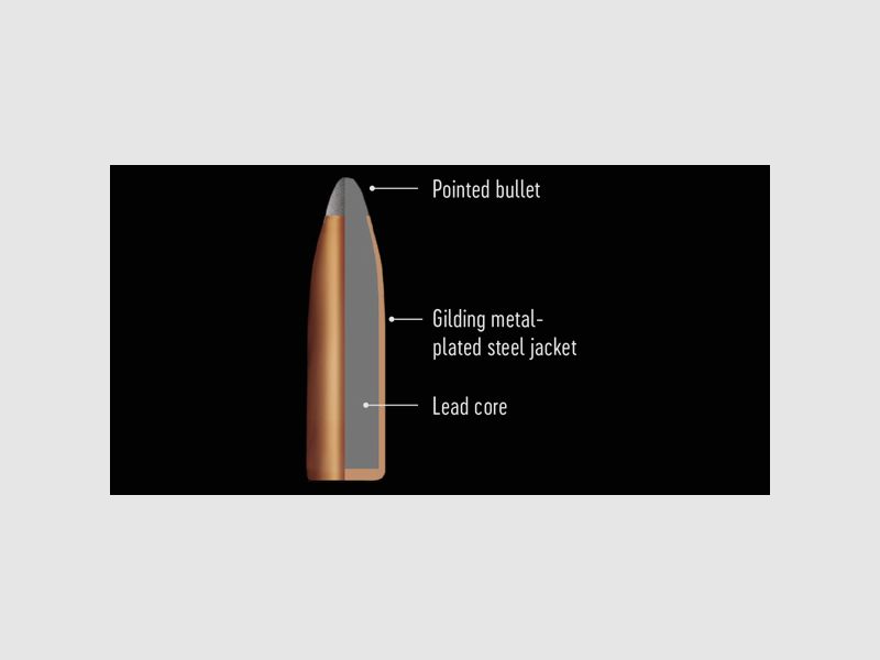 RWS ogive à pointe molle 9.3×74 R 18.5g, image 3 sur 3