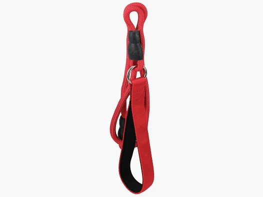 Laisse chien polyester 120 cm - robuste et pratique